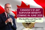 $1647 Survivor Benefit June 2025